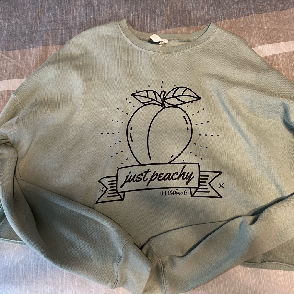 LFT clothing company cropped sweatshirt, size large, never worn